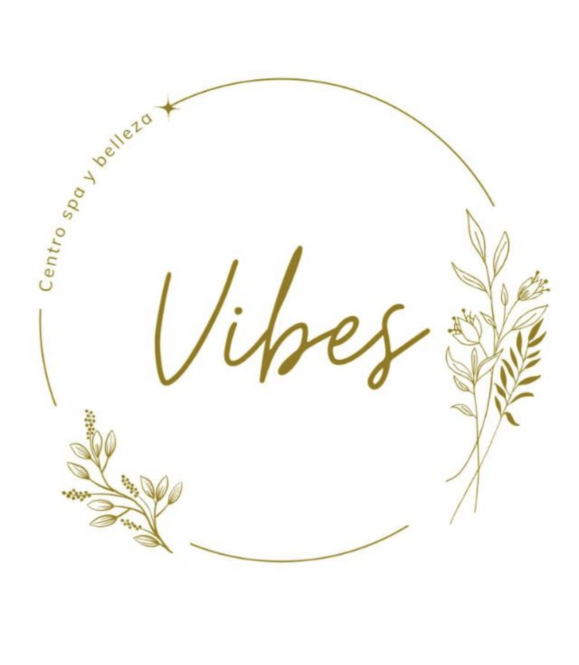 Vibes Estética