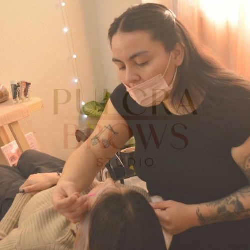 Look Pulcra Brows Studio 1