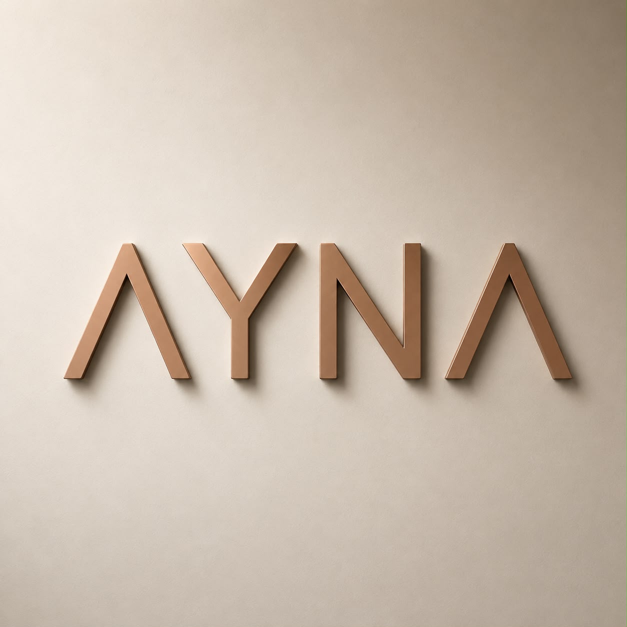 AYNA CA&Ntilde;ITAS
